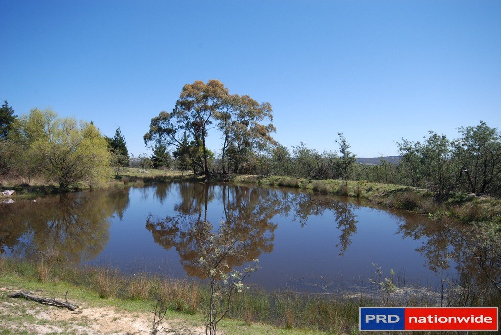 697 Bungendore Road BUNGENDORE 17