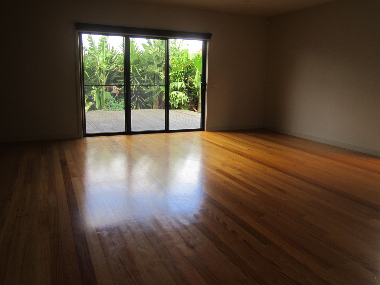 Gallery: 6a Scanlan Street