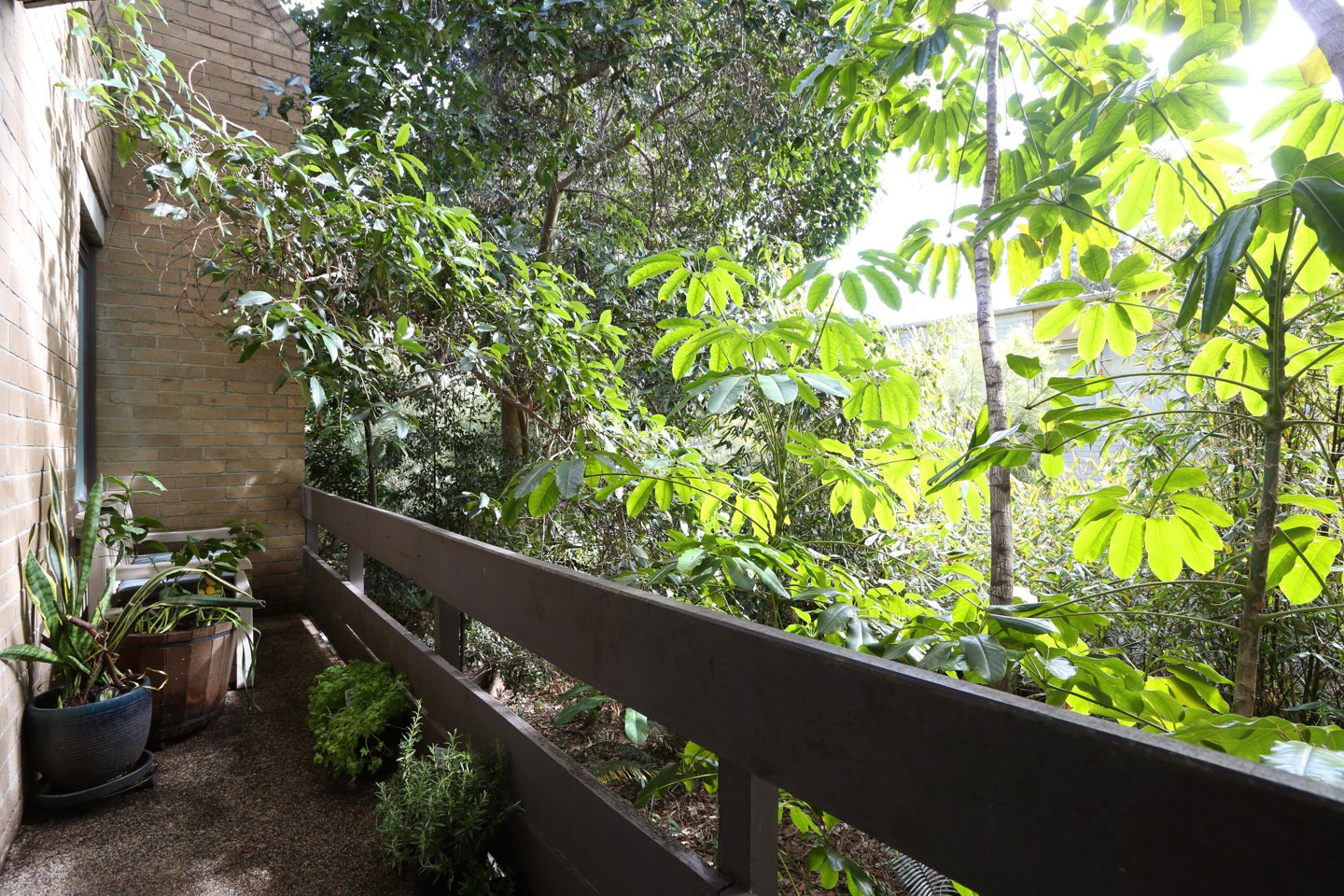 Gallery: 6A/2-36 Napier Street