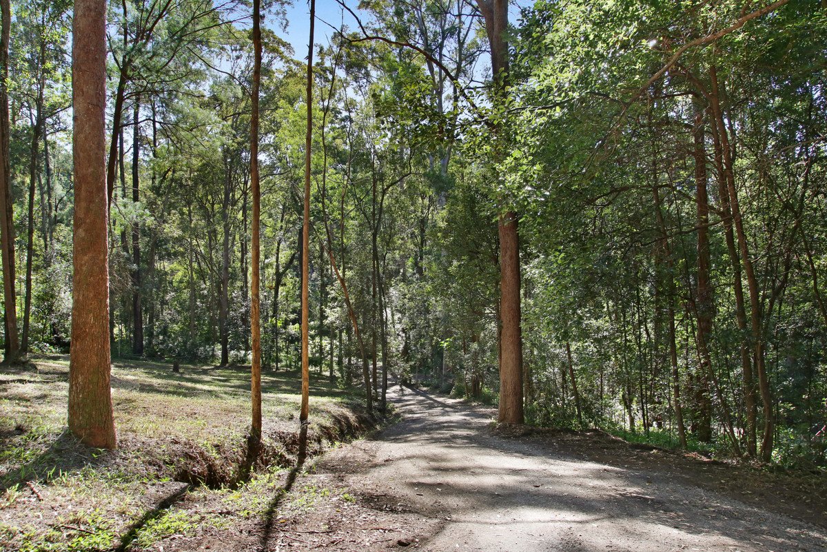 6b Koombahla Drive Tallebudgera 16