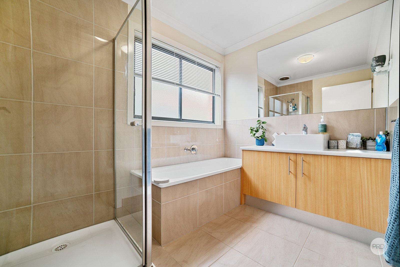 6B Sugarwood Court EPSOM 12