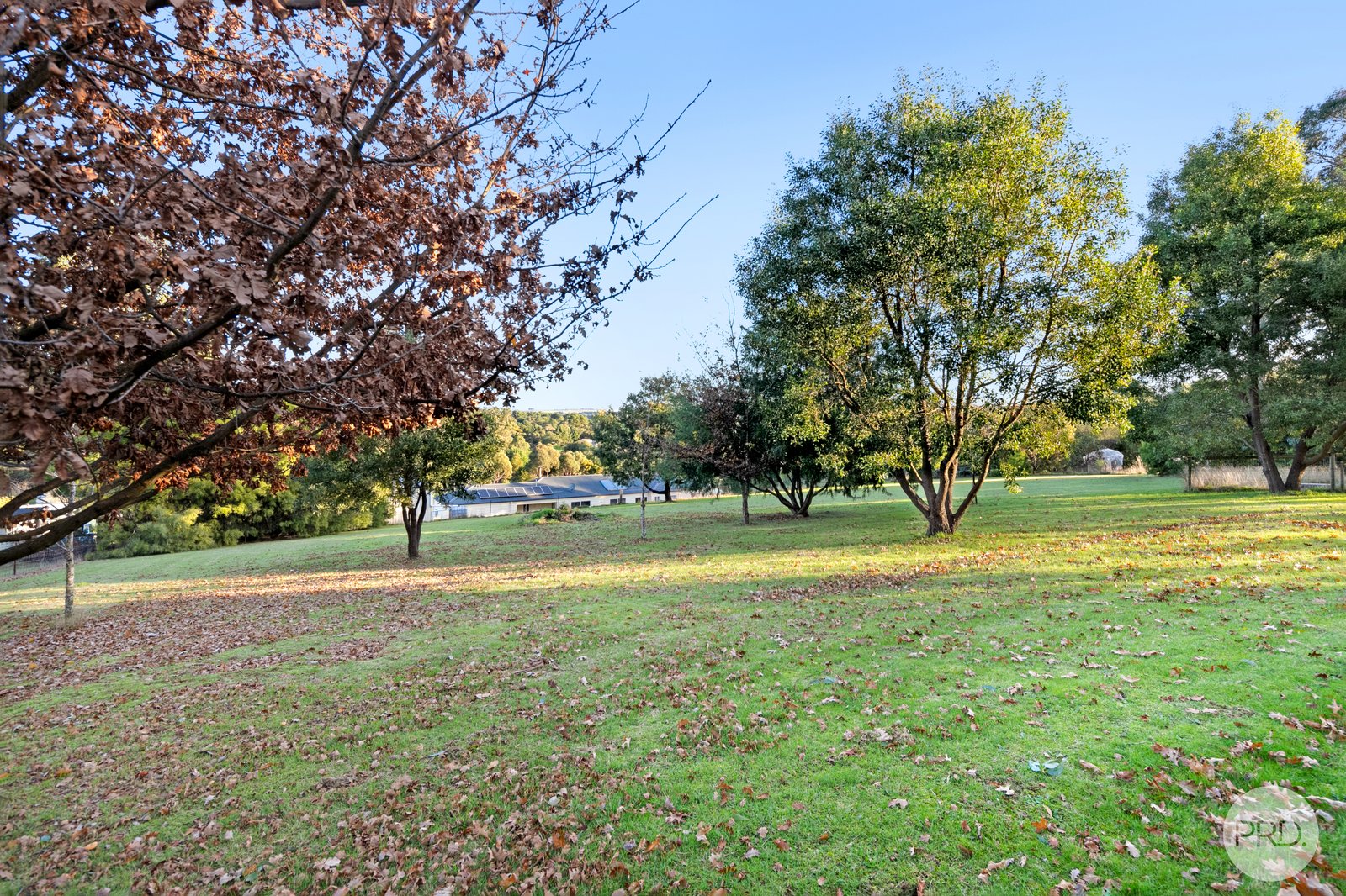 7 Acacia Court LINTON 17