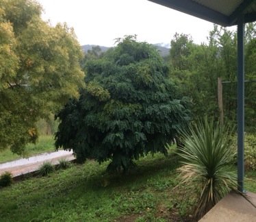 7 Albury St  TUMBARUMBA 14