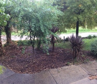 7 Albury St  TUMBARUMBA 15