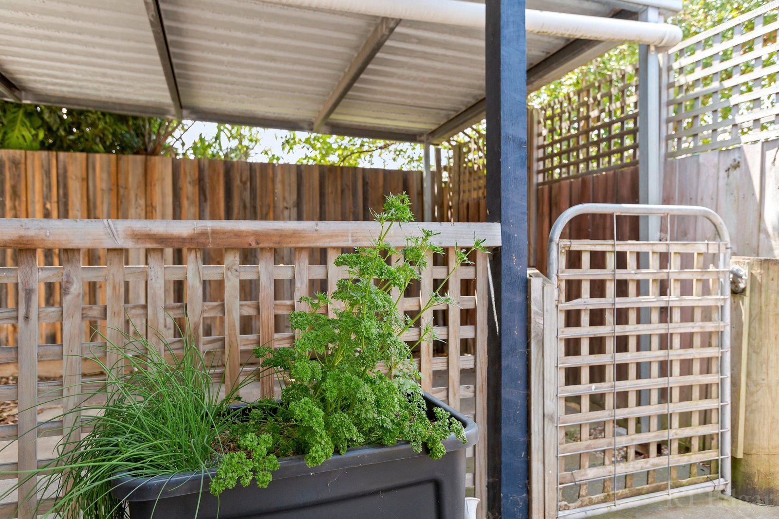 Real Estate and Property in 7 Ash Road, Leopold, VIC