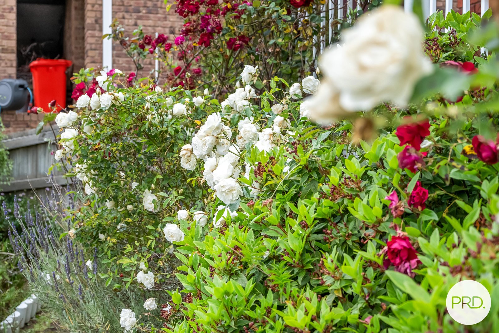 7 Baltonsborough Road AUSTINS FERRY 7