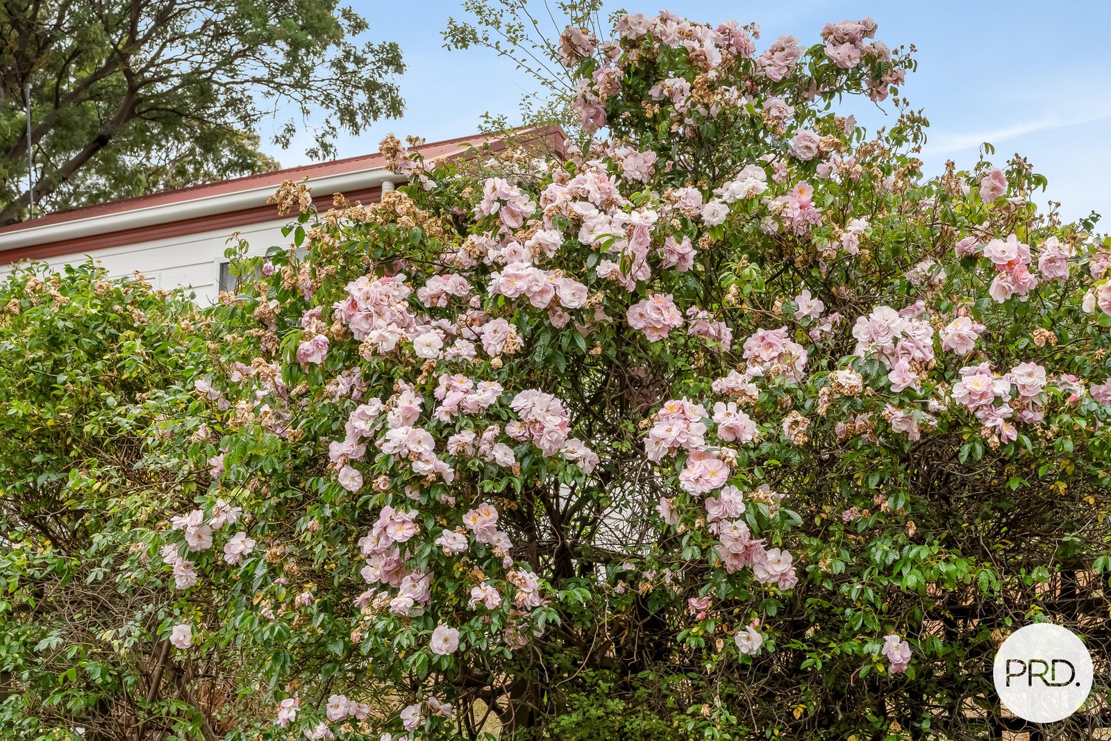 7 Baltonsborough Road AUSTINS FERRY 27