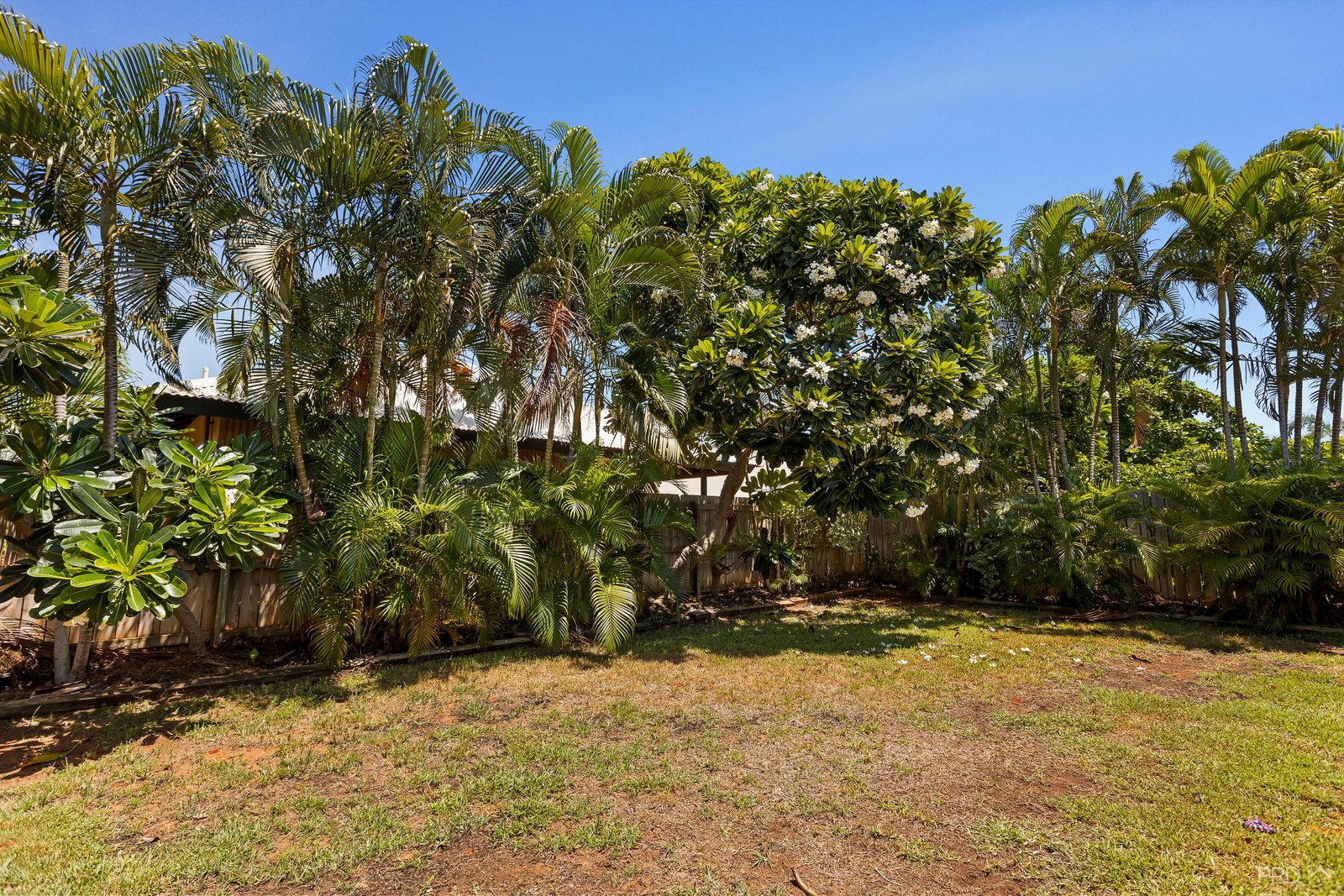 7 Bandicoot Loop DJUGUN 6