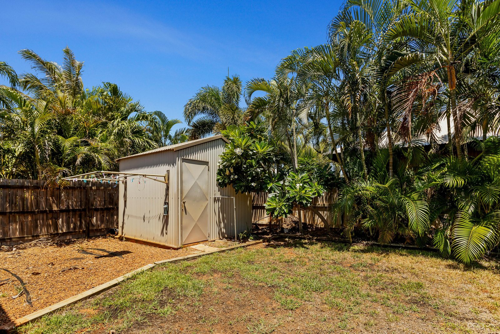 7 Bandicoot Loop DJUGUN 7