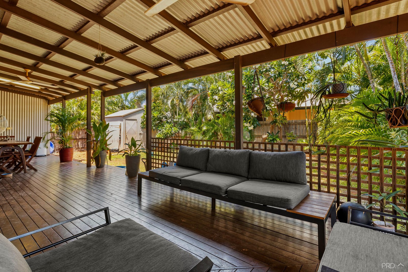 7 Bandicoot Loop DJUGUN 8