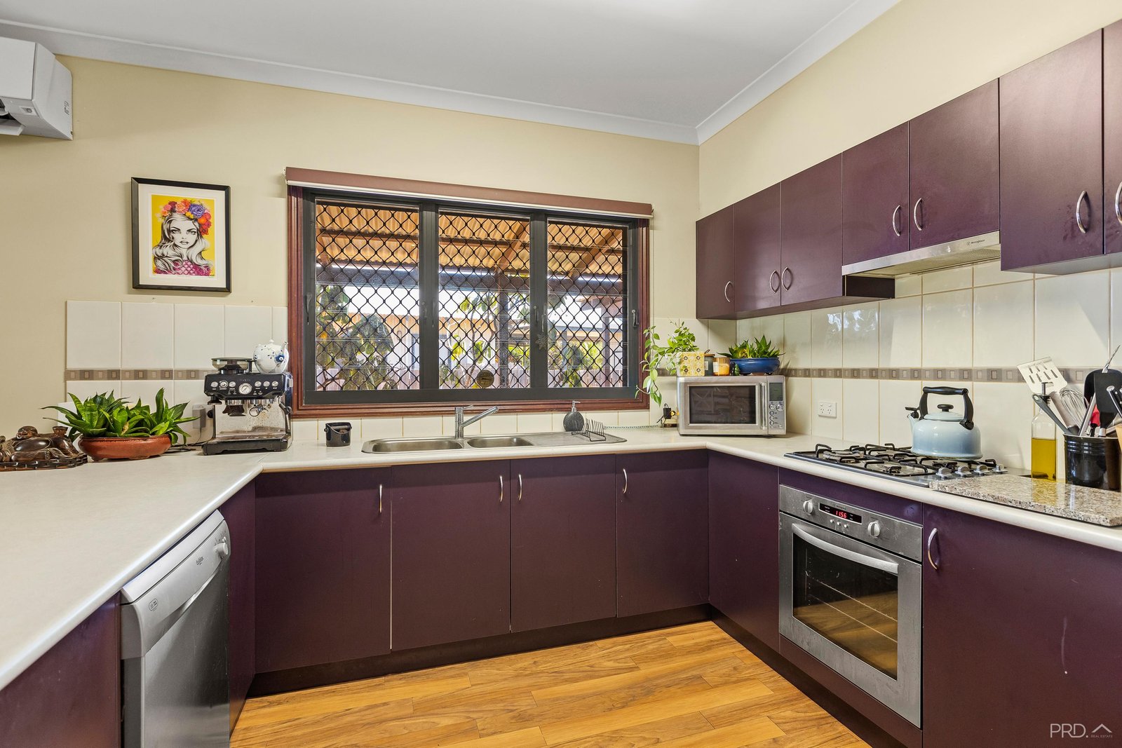 7 Bandicoot Loop DJUGUN 15