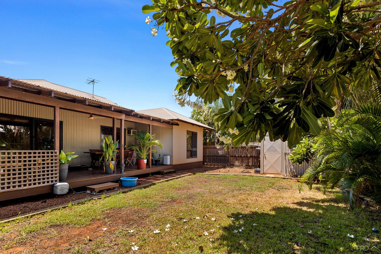 7 Bandicoot Loop DJUGUN 19