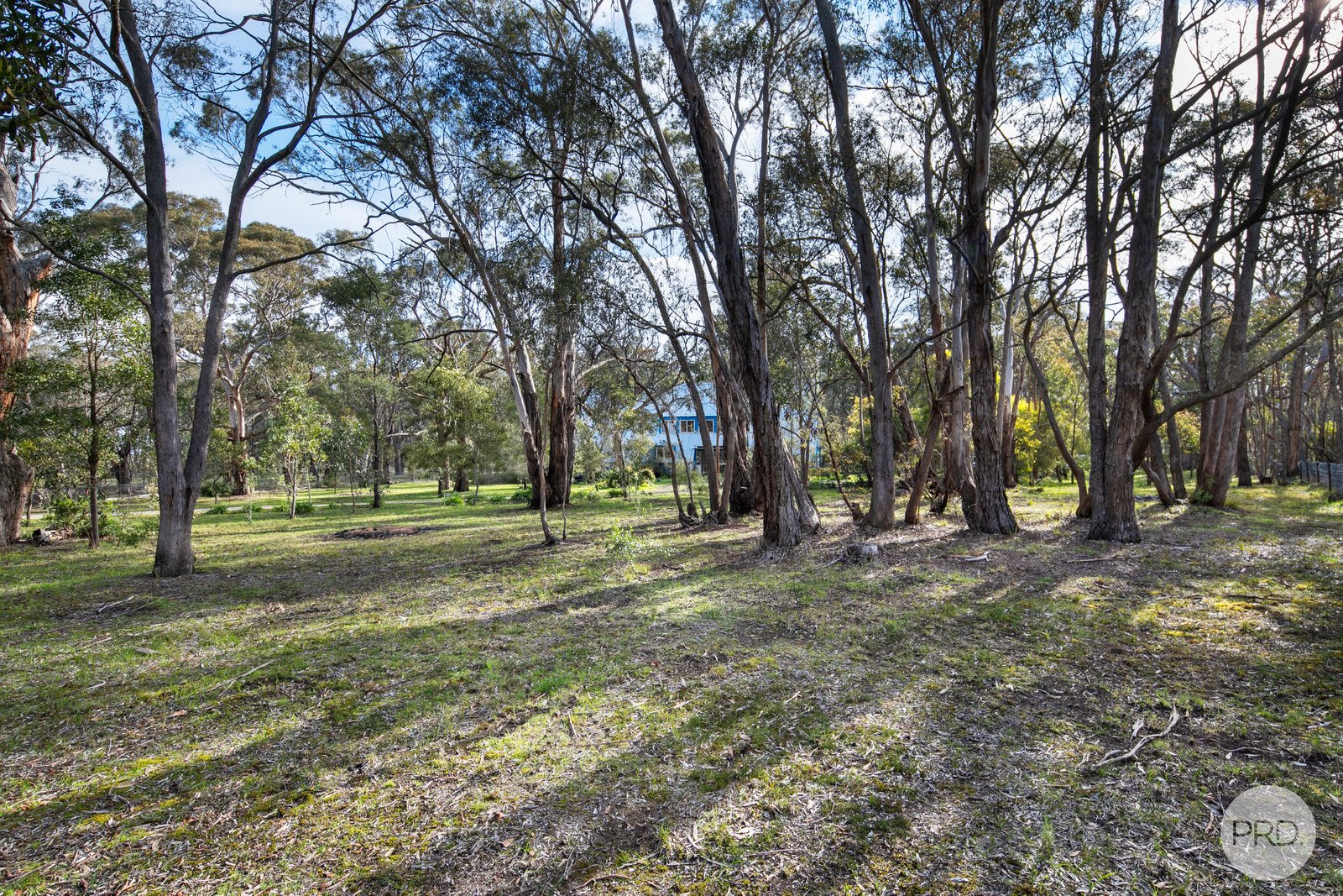 7 Barkers Lane ELAINE 16