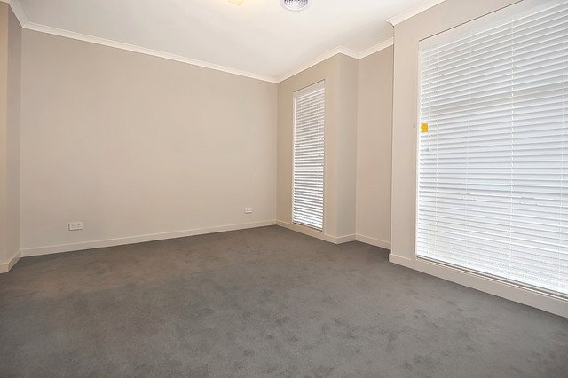 Gallery: 7 Bayfield Street