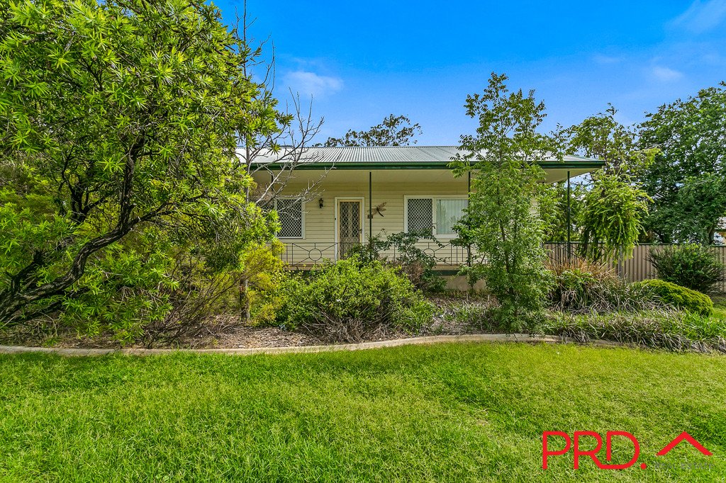 7 Begonia Street TAMWORTH 3