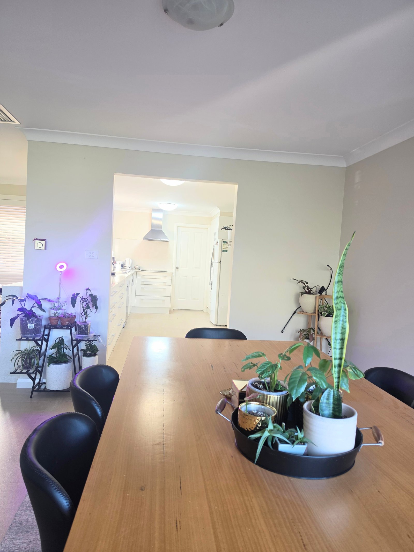 7 Bellevue Crescent EAST TAMWORTH 6