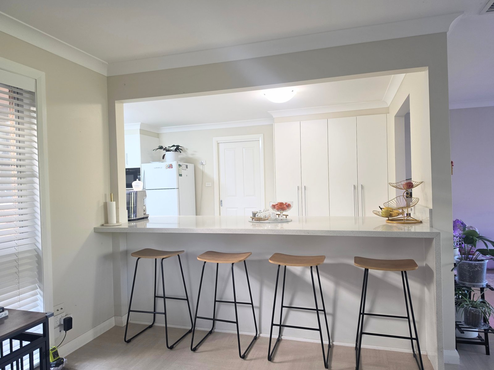 7 Bellevue Crescent EAST TAMWORTH 8
