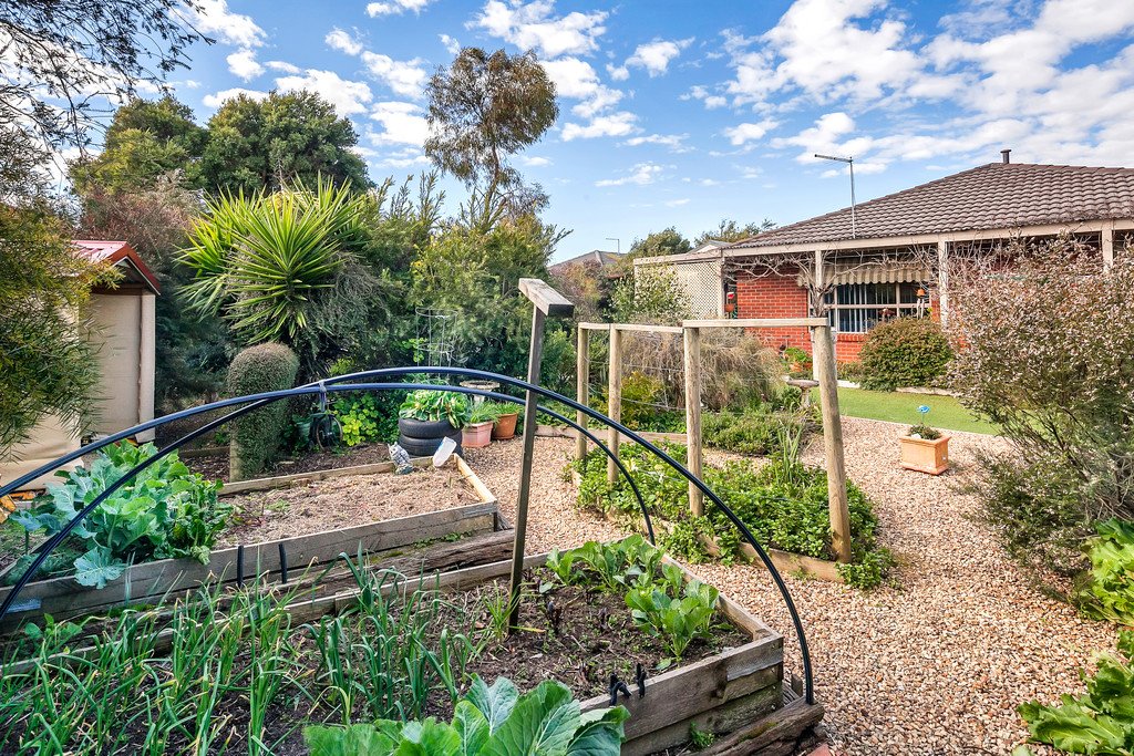 7 Belltower Avenue ALFREDTON 14