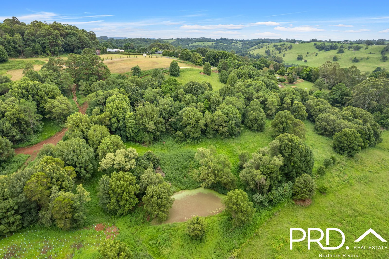 7 Birdwing Place MODANVILLE 4