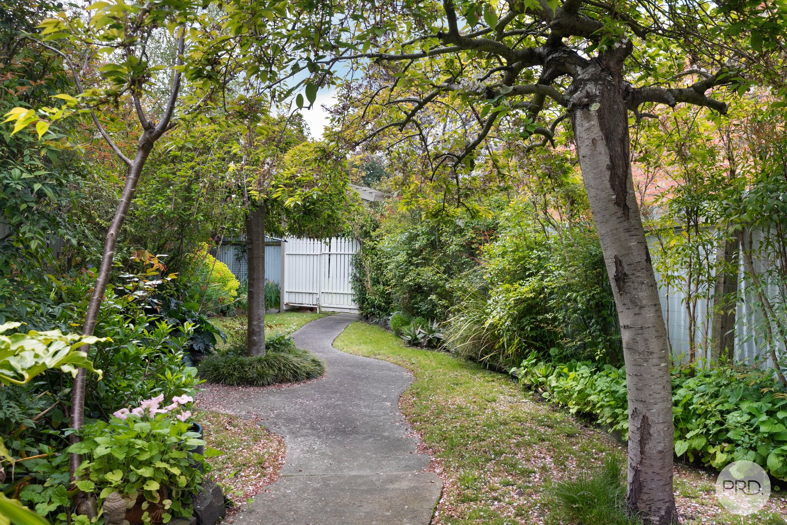 7 Blair Street GOLDEN POINT 18