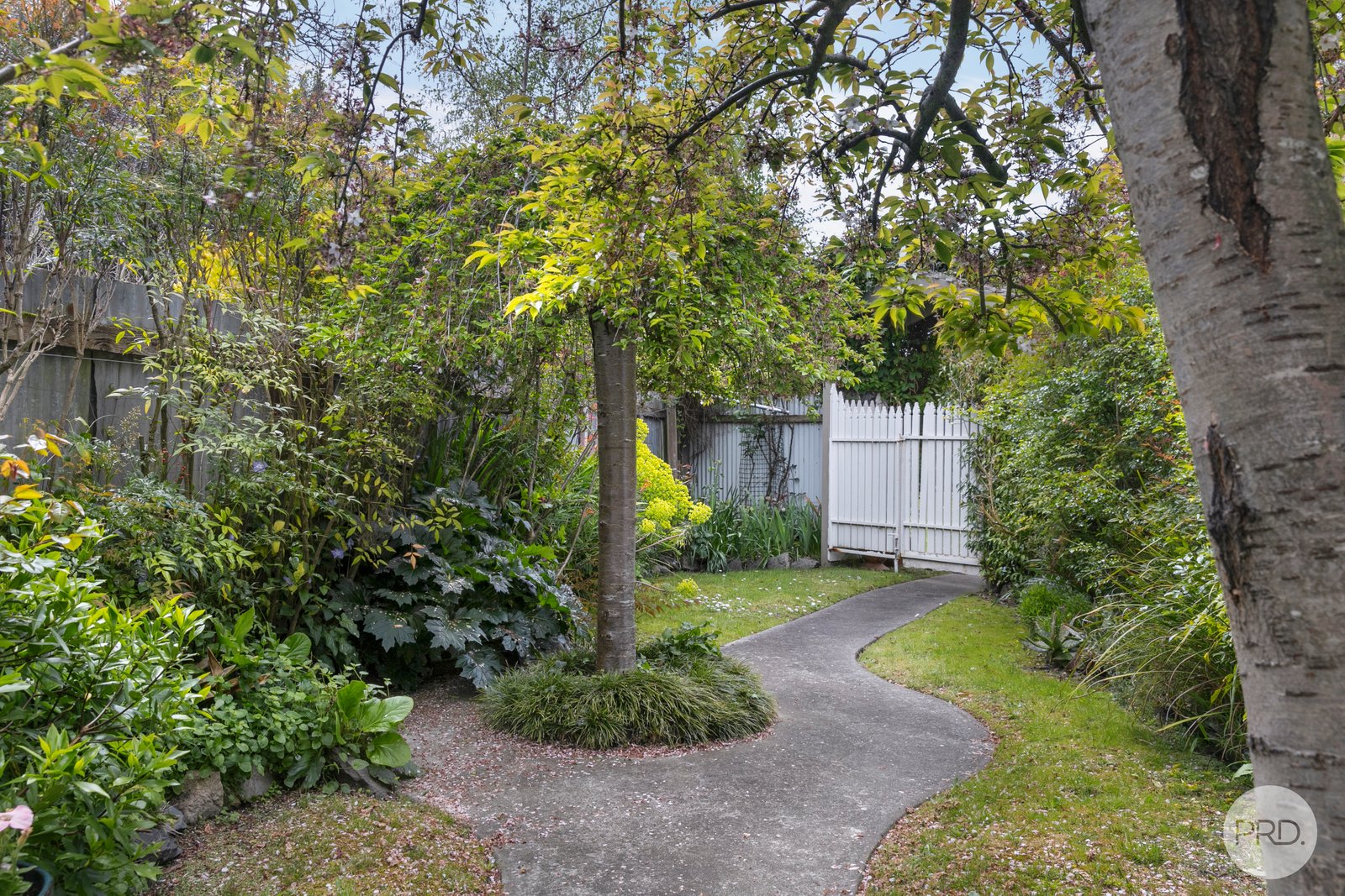 7 Blair Street GOLDEN POINT 19