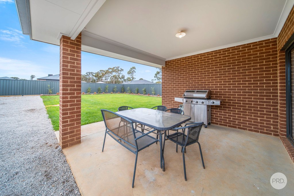 7 Bonnington Street JACKASS FLAT 11