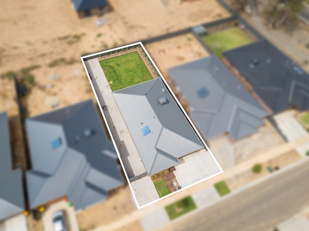 7 Bonnington Street JACKASS FLAT 14