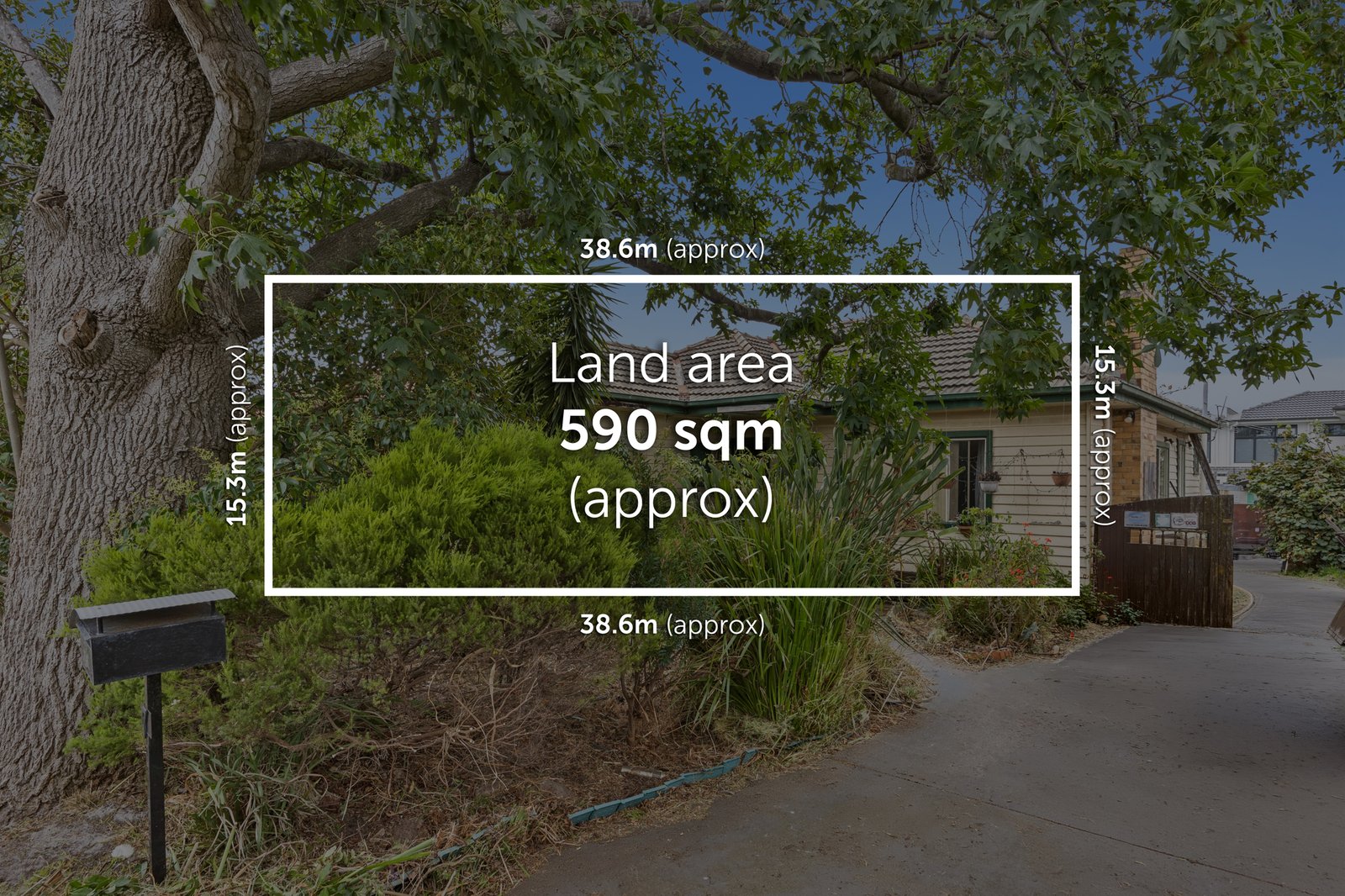Gallery: 7 Boonah Street