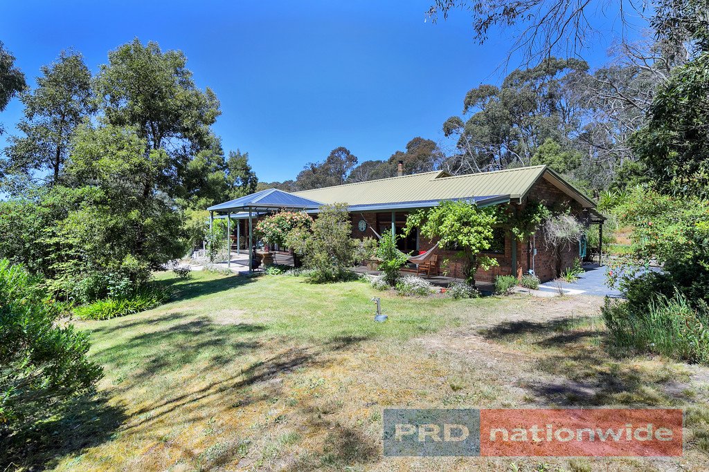 7 Boronia Road BLACK HILL 14