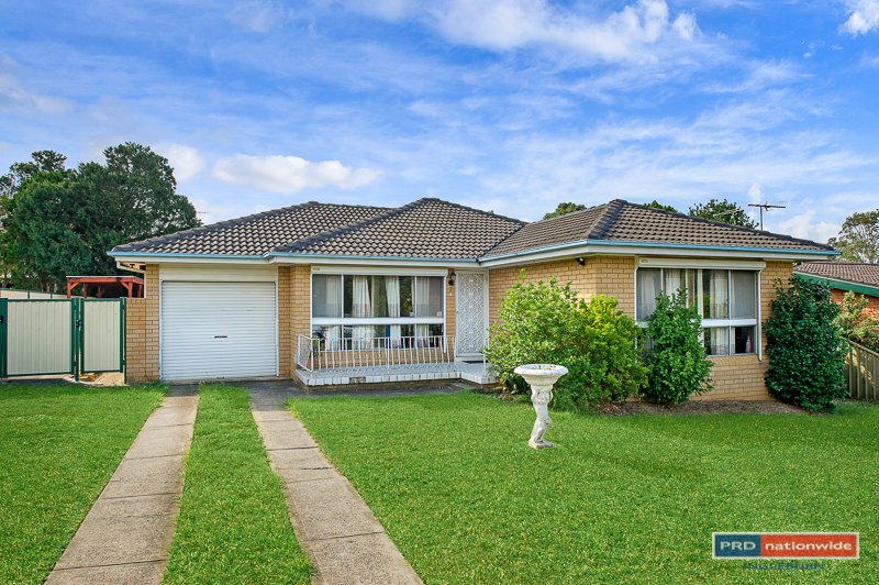 7 Bronzewing  INGLEBURN 1