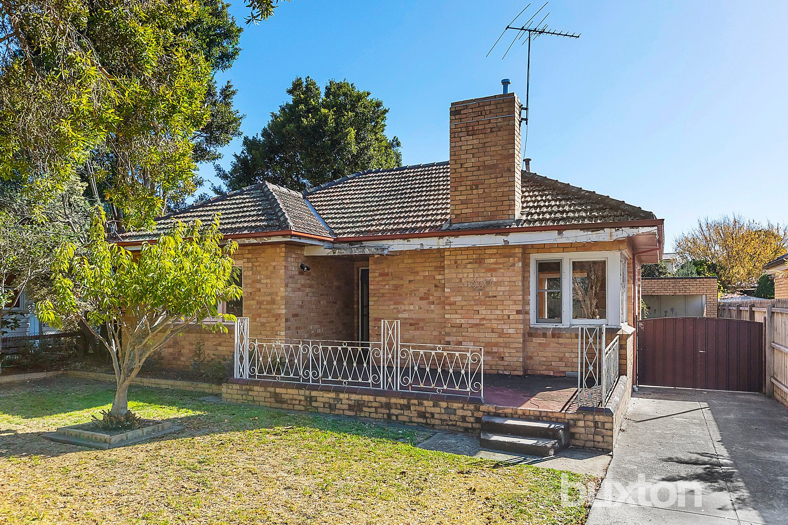 Gallery: 7 Cameron Street