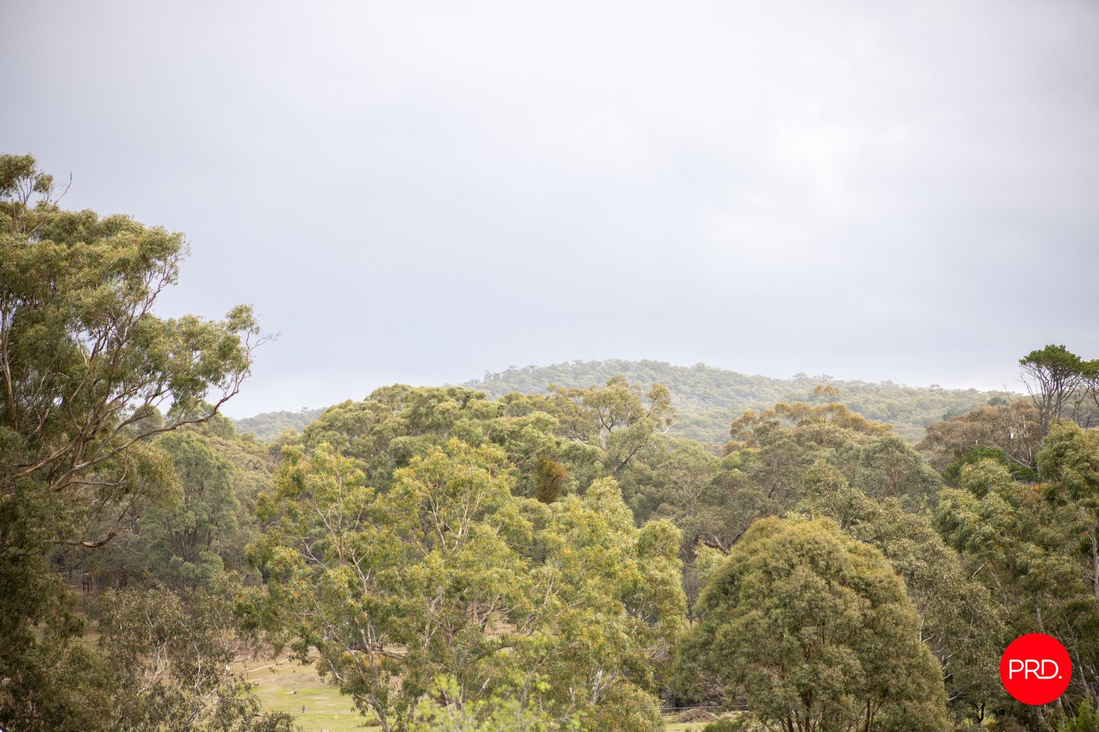 7 Cooke Street ELPHINSTONE 21