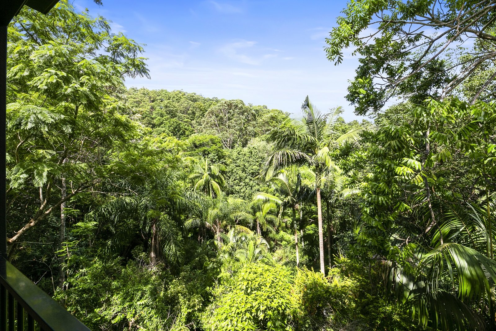 7 Dalwood Court TALLEBUDGERA 21