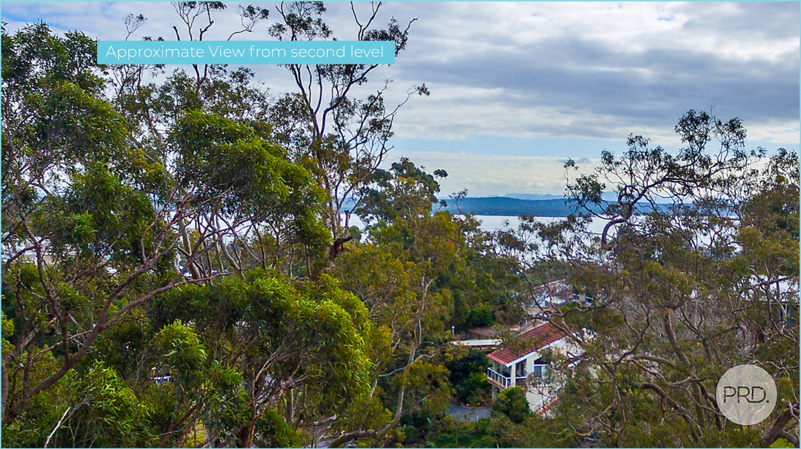 7 Dragonfly Place NELSON BAY 6