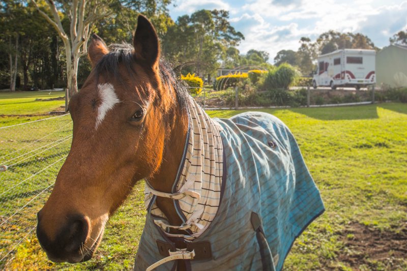 7 Forsythe Parade BLACK HILL 25