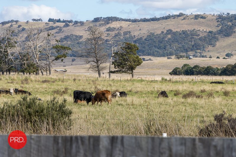 7 Galloway Place BUNGENDORE 24