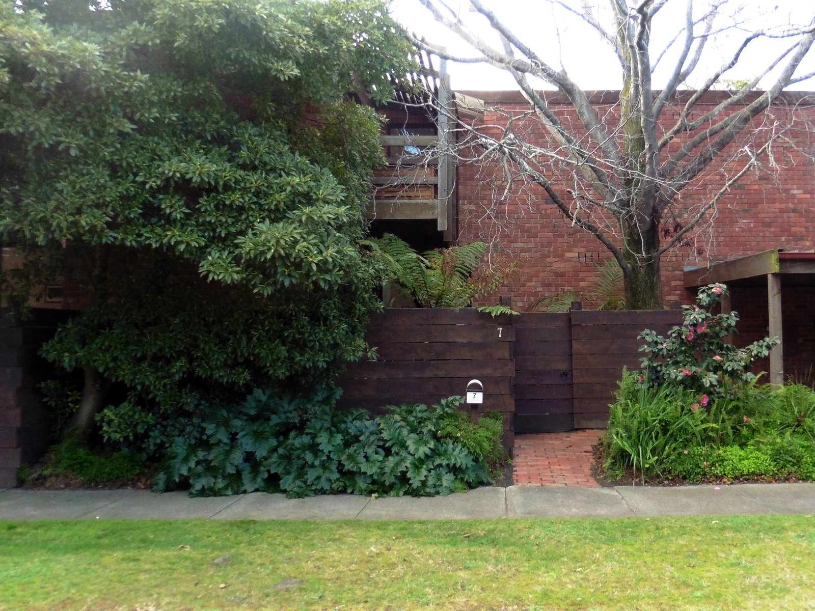 Gallery: 7 Gareth Avenue