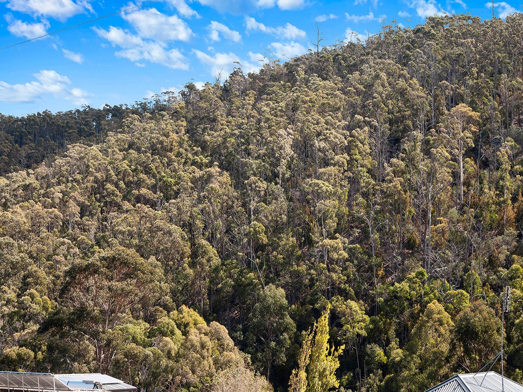 7 Glenlusk Road BERRIEDALE 21