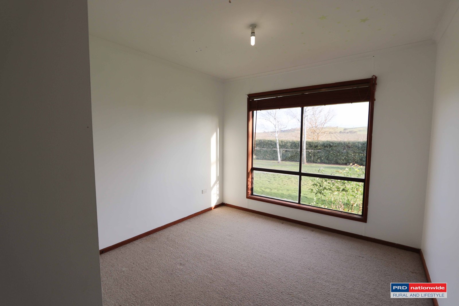 7 Glenroy Hills Road TUMBARUMBA 8