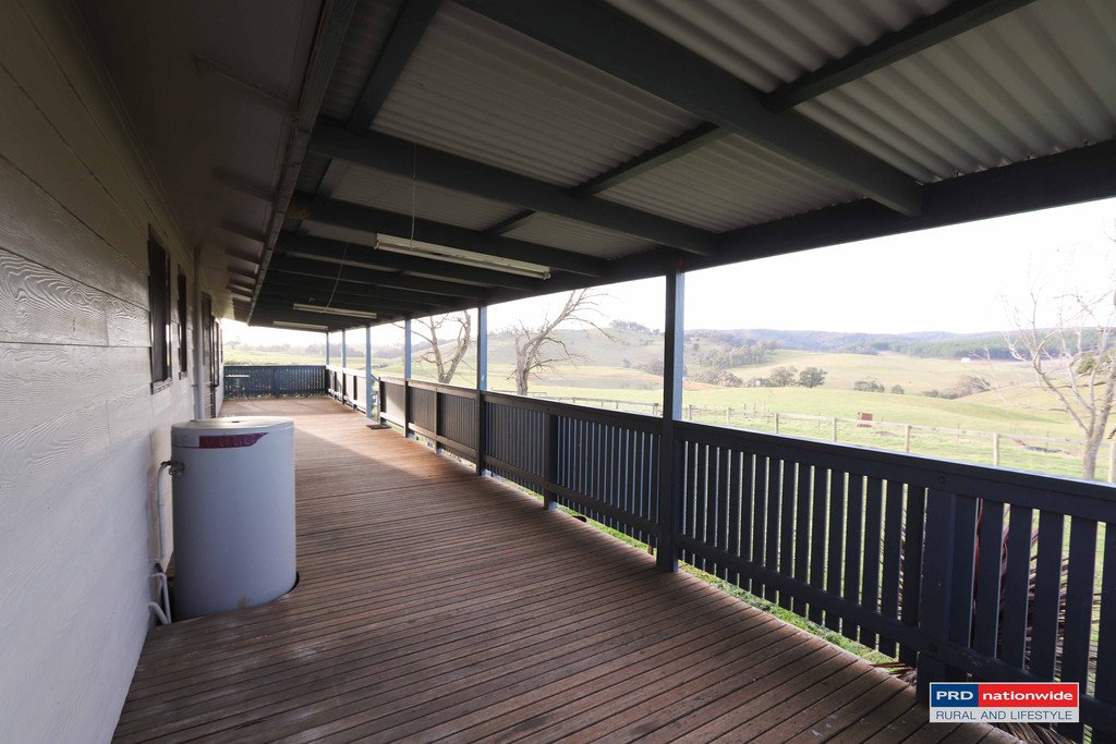 7 Glenroy Hills Road TUMBARUMBA 12