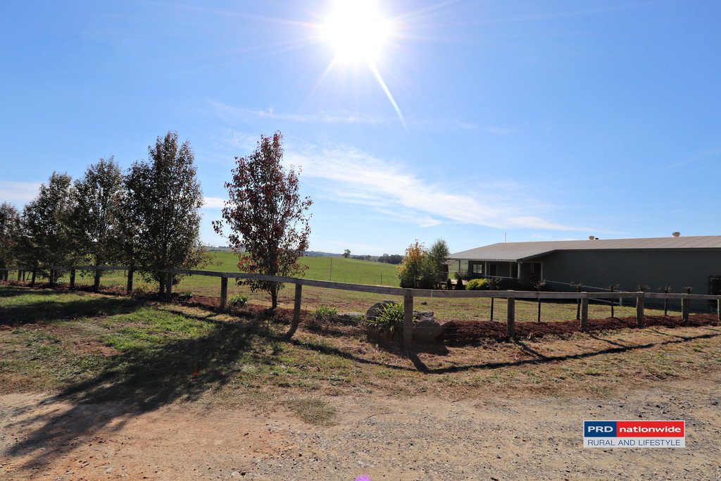 7 Glenroy Hills Road TUMBARUMBA 16