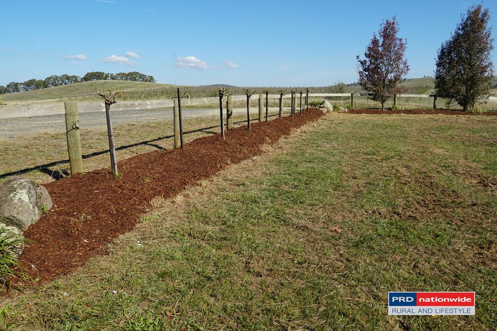 7 Glenroy Hills Road TUMBARUMBA 18