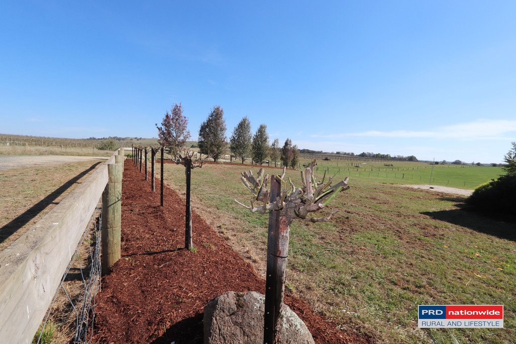 7 Glenroy Hills Road TUMBARUMBA 19