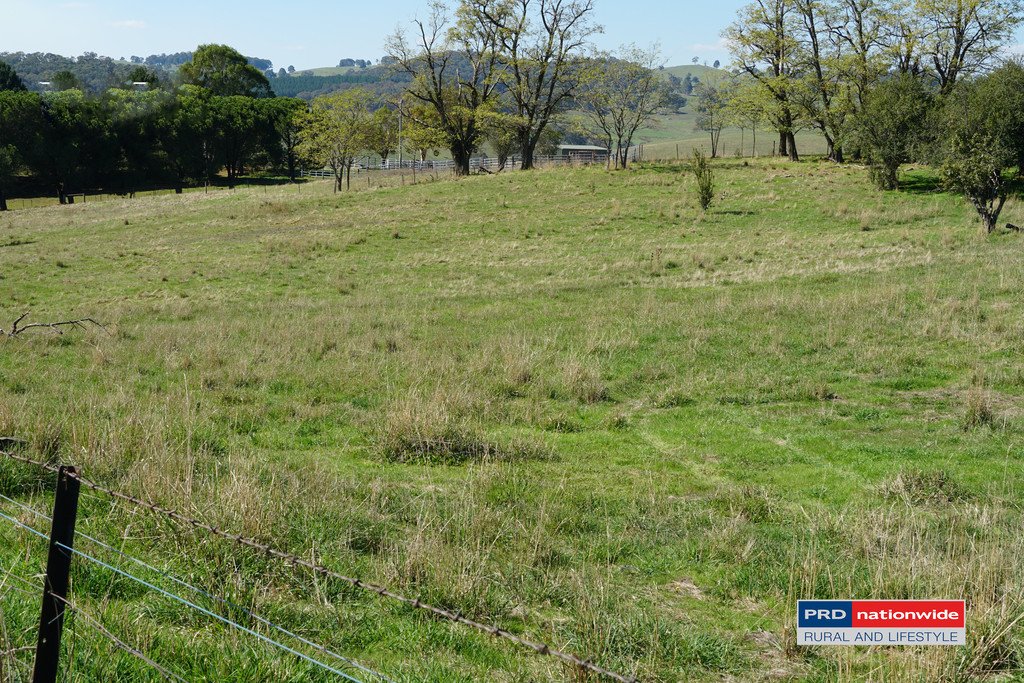 7 Glenroy Hills Road TUMBARUMBA 21