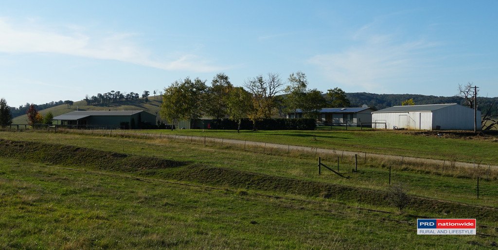 7 Glenroy Hills Road TUMBARUMBA 23