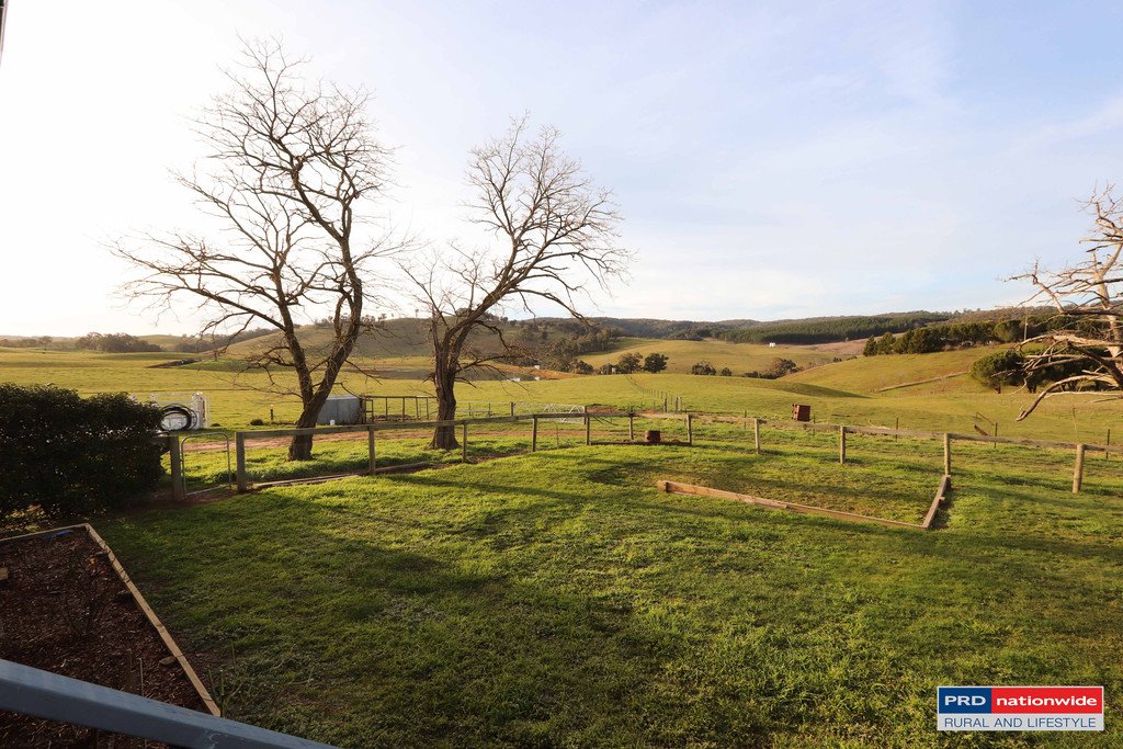 7 Glenroy Hills Road TUMBARUMBA 24