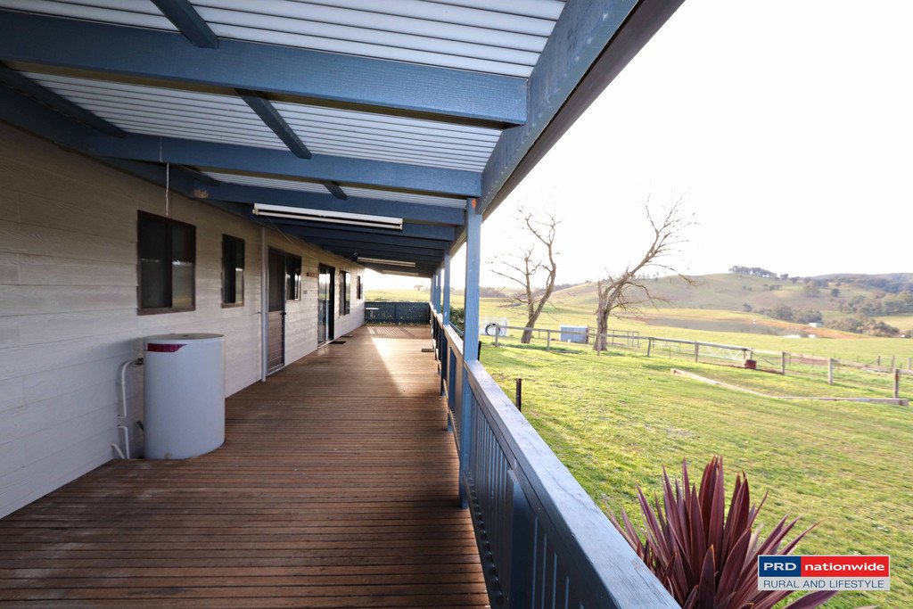 7 Glenroy Hills Road TUMBARUMBA 25