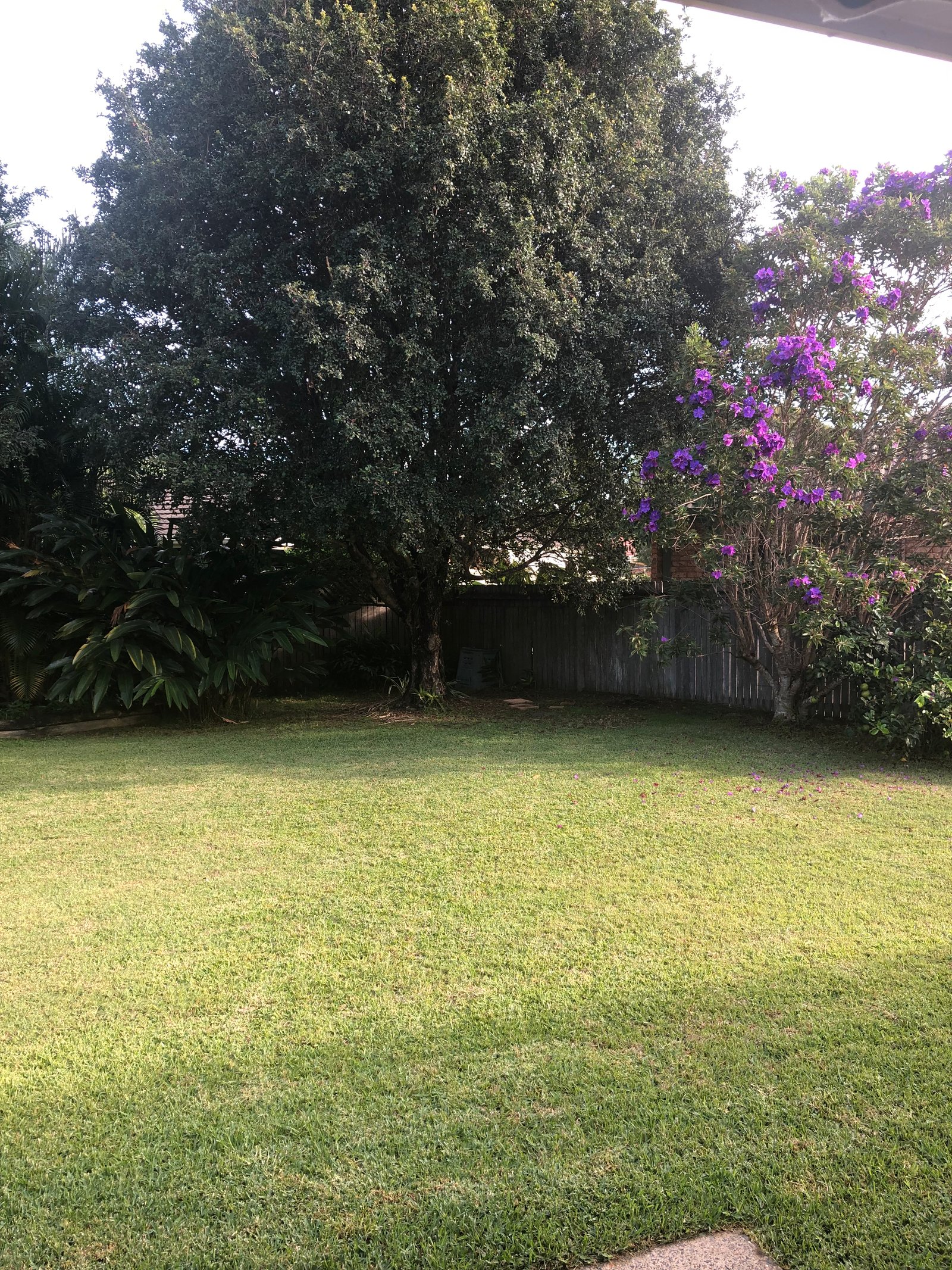7 Goodenough Terrace COFFS HARBOUR 10
