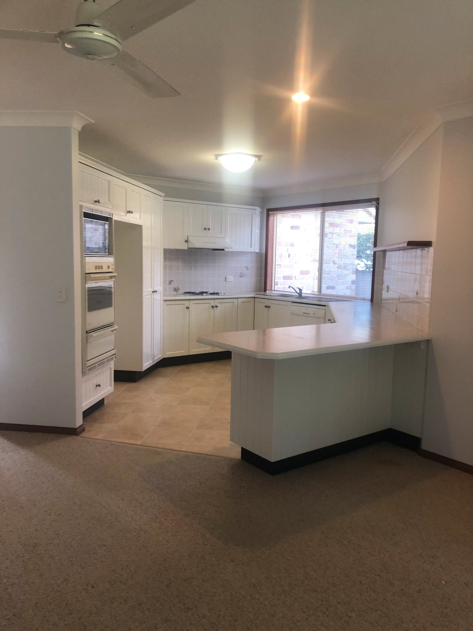 7 Goodenough Terrace COFFS HARBOUR 4