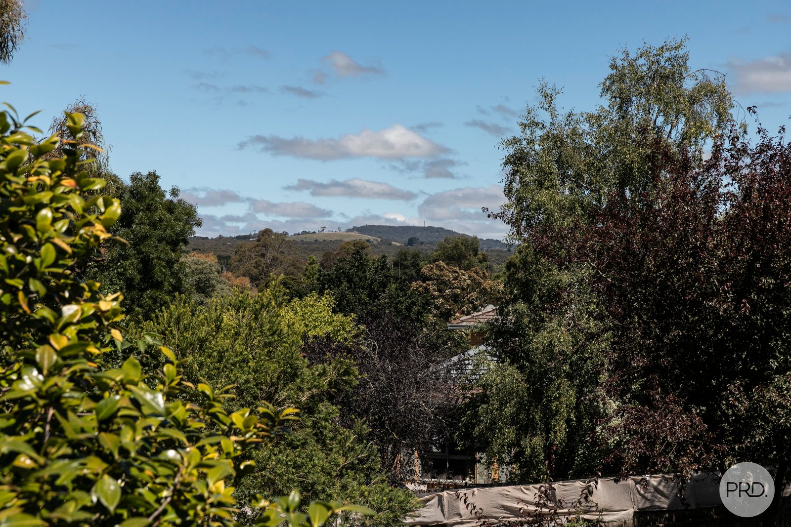 7 Grandison Avenue MOUNT CLEAR 17